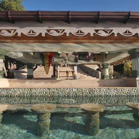 Tropical Hideaway Hotel Port Elizabeth Exterior photo